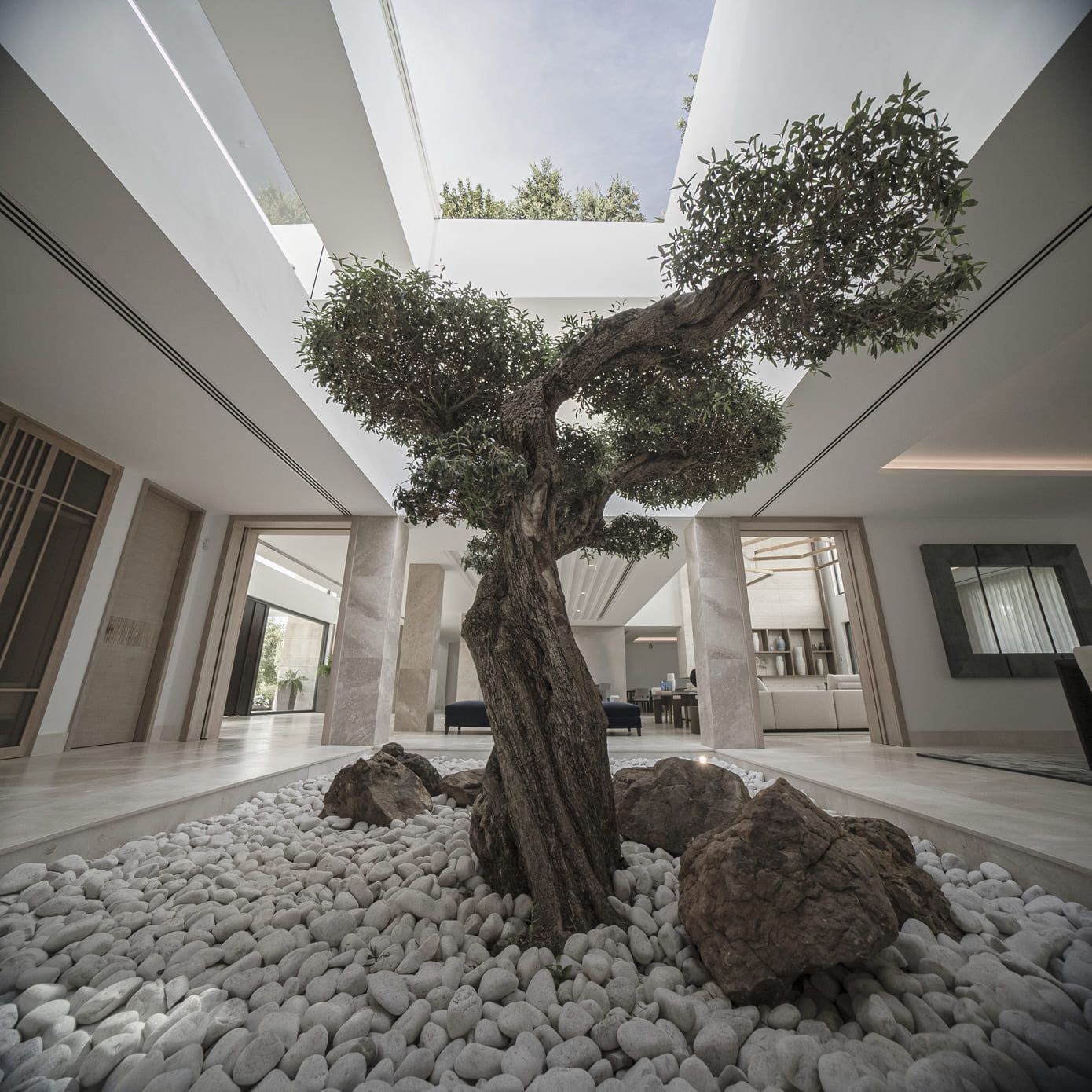 THE HILL BY MANUEL RUIZ MORICHE -ARK 7