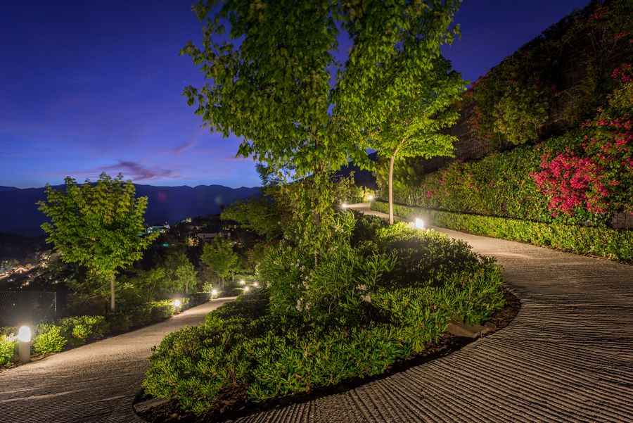ARK ARCHITECTS - La Zagaleta VILLA Heaven - tree