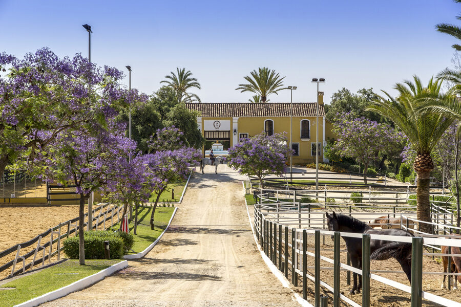 ARK ARCHITECTS - La Zagaleta club hipica