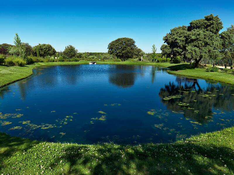 la finca ark architects