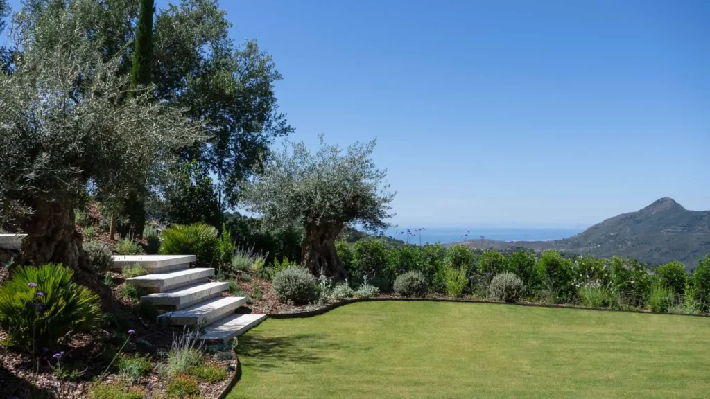 Mediterranean garden with stone steps and olive trees, overlooking mountain and sea views at Villa KAIZEN by ARK Architects