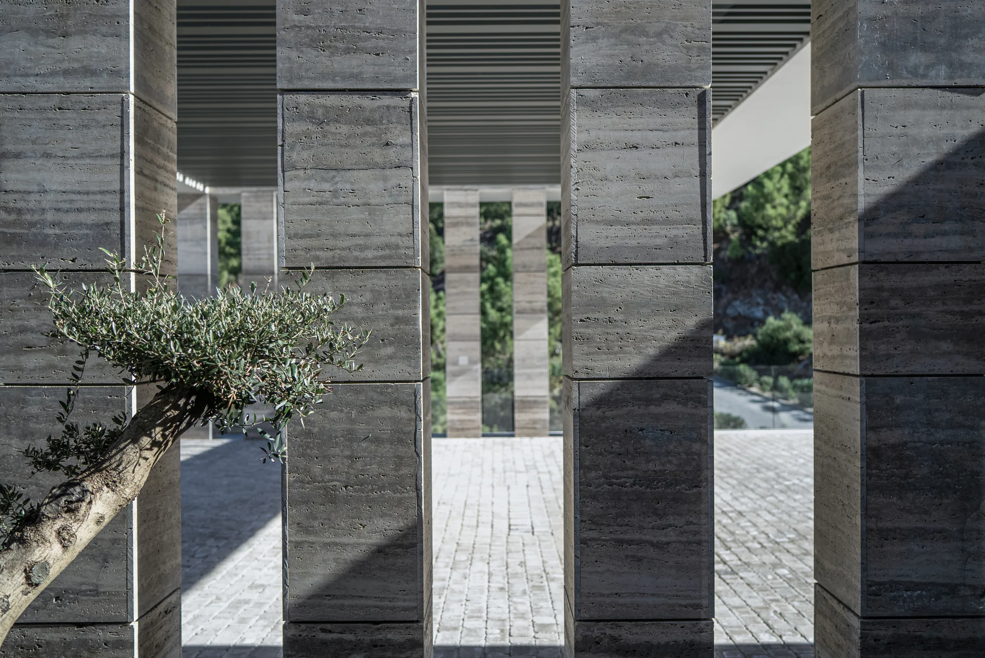 Detail of natural stone columns at Villa Geneve integrating nature and olive trees into the architectural structure.